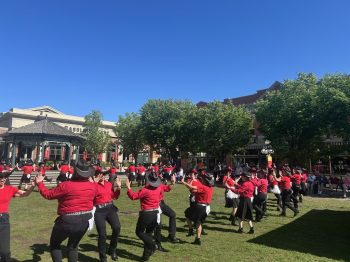 Line dancers - IPBIS - 1